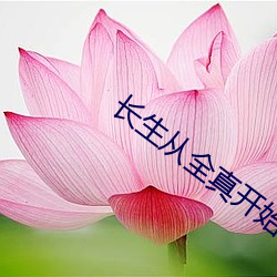 長生從全真開始