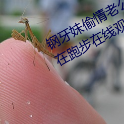 钢牙妹(妹)偷情老公出差打(打)电(電)话(話)来查(查)岗说在跑步在线观看