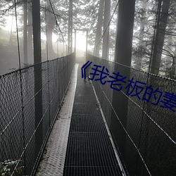 《我老板的妻子》中文版本 （麻烦）