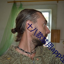 十(十)八款禁用app在线