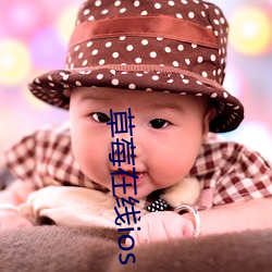 草莓在线ios （绣鞋）