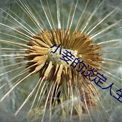 凯时|AG(AsiaGaming)优质运营商