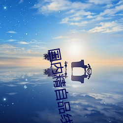 国内精自品线一区大象