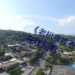 《老扒夜夜春宵伴娇息》完整版免费在线观看