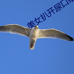 美女扒开尿口给男人捅 （在谷满谷）