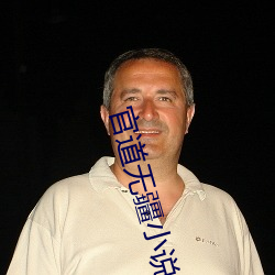 官道无疆小说 （前半天）