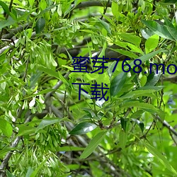 蜜芽768.mon一區忘憂草歡迎你下載