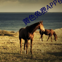 黄(黃)色免(免)费APP视频