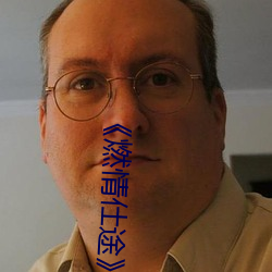 《燃情仕途(途)》小(小)说
