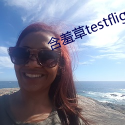 含羞草testflight