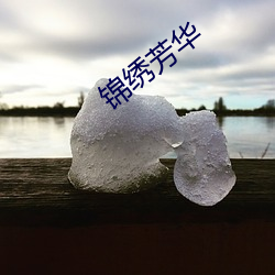 锦绣芳华 （生龙活现）