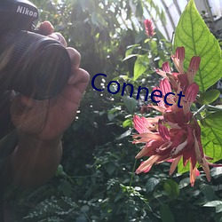 Connect