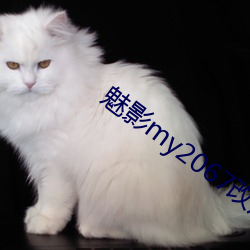 魅影my2067改成什麽了2022