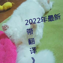 2022年最新《图书馆的她3未增删带翻译》中文字幕 （想方设法）