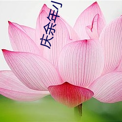 庆(qìng)余年小(xiǎo)说结局