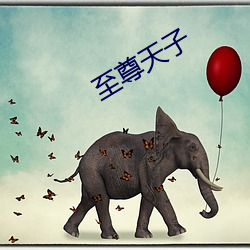 &#x5165;&#26790;&#x5A07;&#36710;&#x6B20;&#21452; &#24072;&#x5C0A;_&#x56FD;&#20869;&#x89C6;&#39057;app&#25490;&#x884C;&#27036;&#x524D;&#21313;&#x540D;_&#x514D;&#36153;&#x7684;&#32842;&#x5929;&#32593;&#x7AD9;