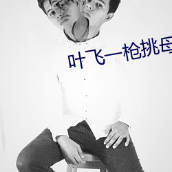 叶飞一(一)枪挑(挑)母(母)是(是)第(第)几章