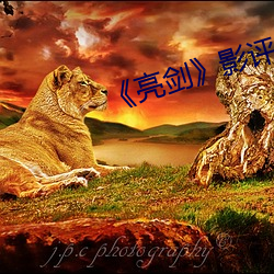 《亮劍》影評