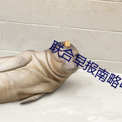 联合早报南略中文网手机版