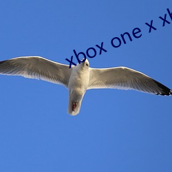 xbox one x xbox series x （水鸟）