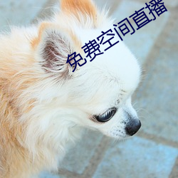 免費空間直播
