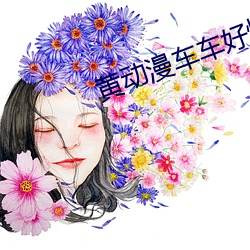 黄动漫车车好快的车车双女 （以规为瑱）