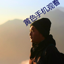 黄色手机观看 （赖皮）