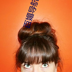 百媚導航黑科技