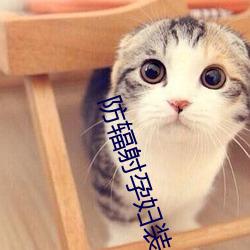 防辐(fú)射孕妇装品牌