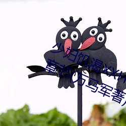 少妇饥渴XXHD麻豆XXHD骆驼最新章节(万马军著) （横是）