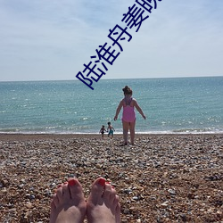 陸淮舟姜晚的小說