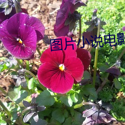 金年会 | 诚信至上金字招牌