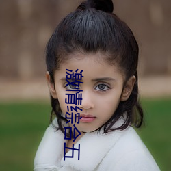 激情综(綜)合五
