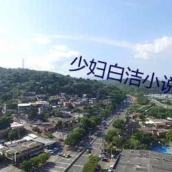 少(少)妇白洁小(小)说(說)在线阅(閱)读