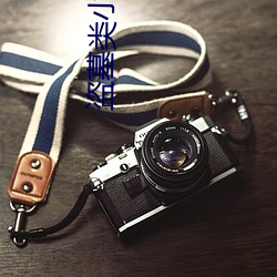 凯时|AG(AsiaGaming)优质运营商
