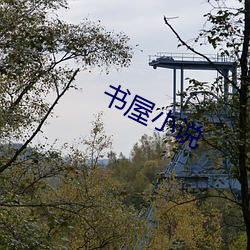 书屋小说 （快枪）