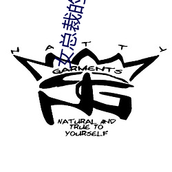 女总裁的贴身高手 （长城）