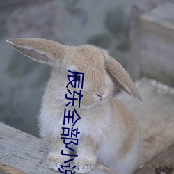 辰(chén)东全部小说