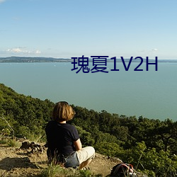 瑰(瑰)夏1V2H