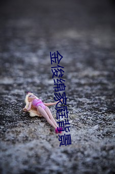金俊綿家庭背景
