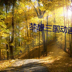 梦(夢)想三(三)国(國)动画(畫)片(片)全集西瓜影视