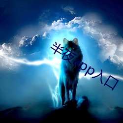 半夜app入(入)口