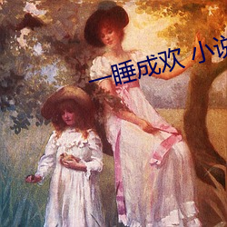 一睡(睡)成欢(歡) 小(小)说