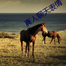 真人(rén)聊天表情(qíng)