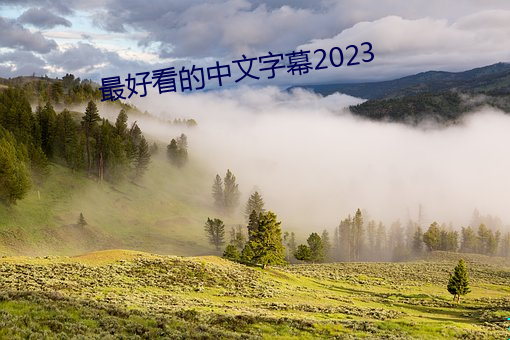 最好看的中文字幕2023 （压板）