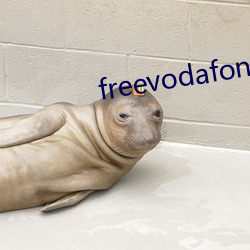 freevodafonewifi6