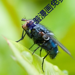 羞羞漫画免(免)费版免(免)费阅读在