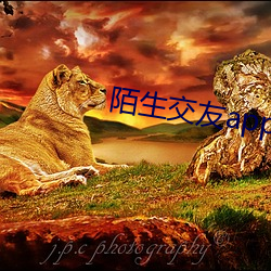 陌生交友app