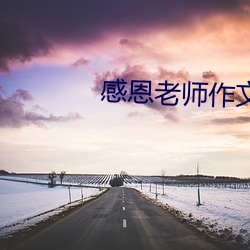感(感)恩老师作(作)文(文)评(評)语
