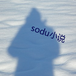 sodu小说